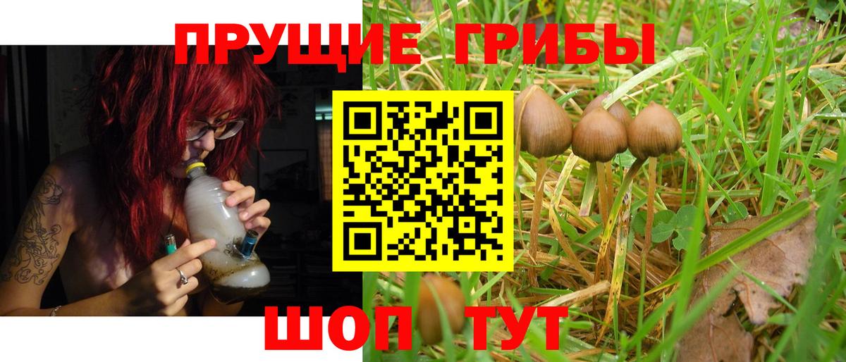 Псилоцибиновые грибы ЛСД  Вход с VPN  Янаул 